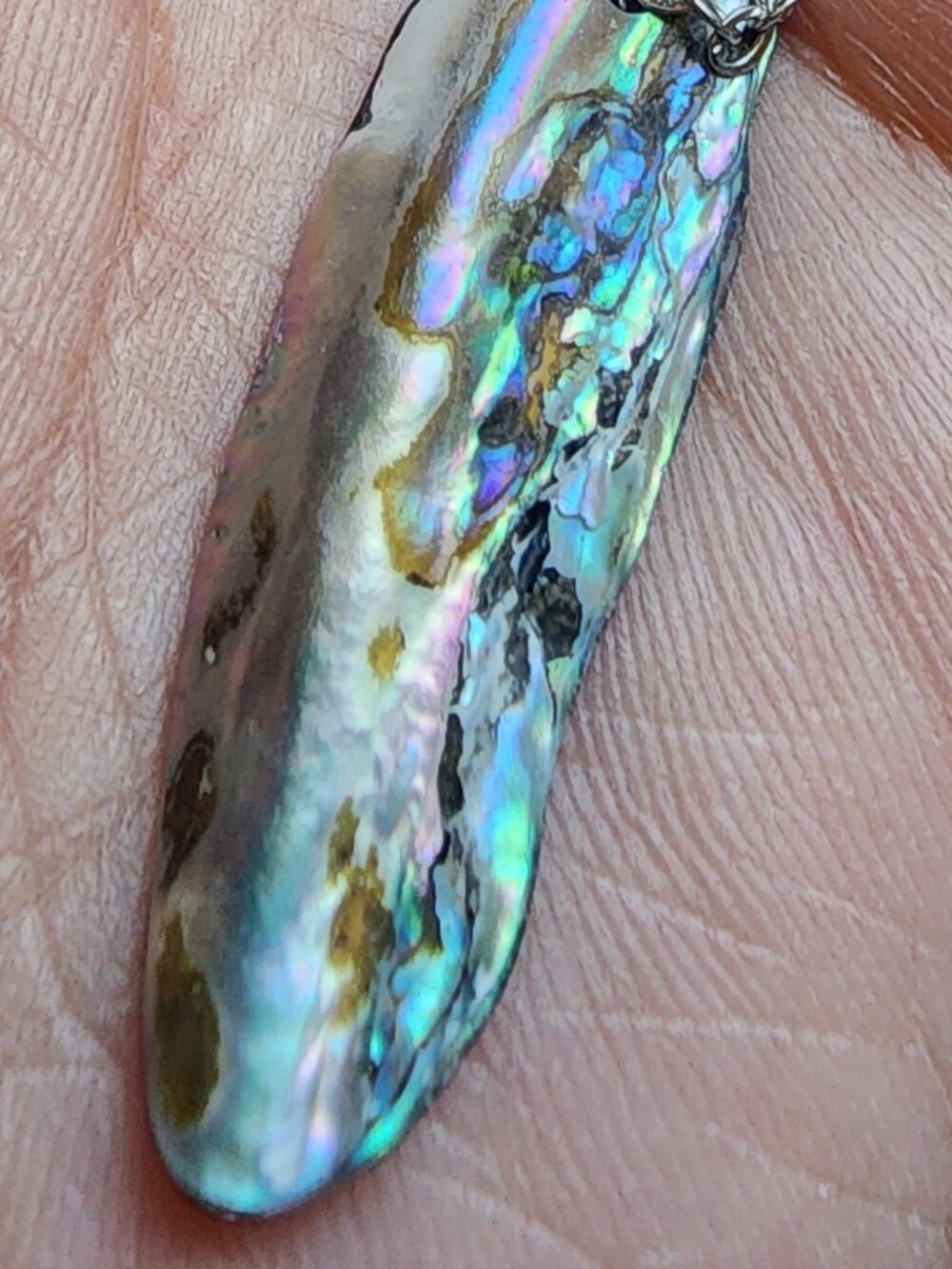 Natural Real Abalone Shell Pendant Necklace Silver Chain - Picture 3 of 3